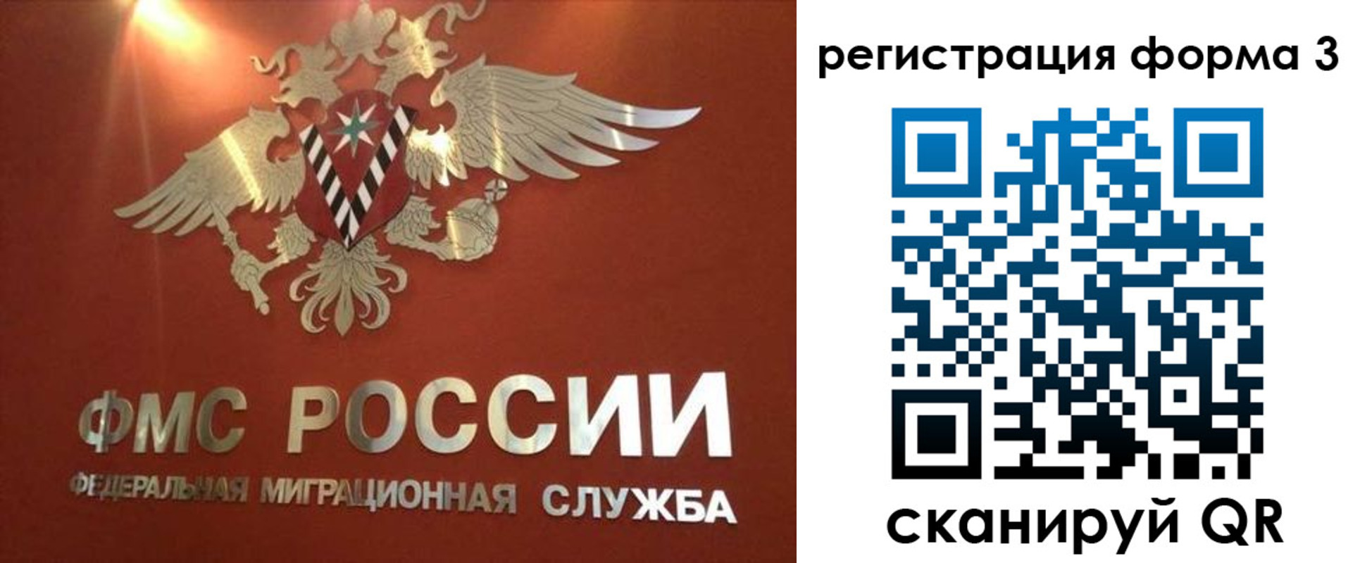 прописка в квартире в Воронежской области